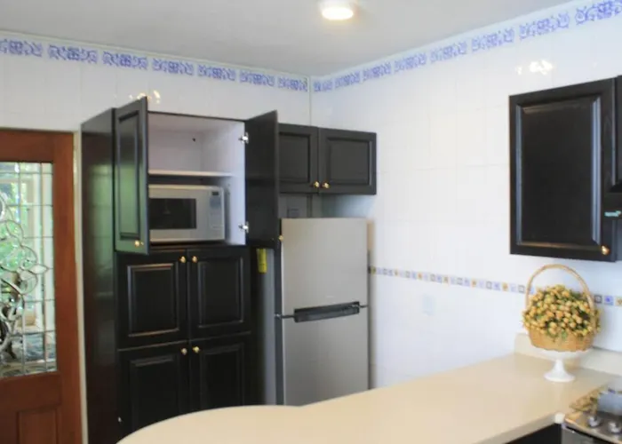 Polanco Lincoln Park Two Bedroom *