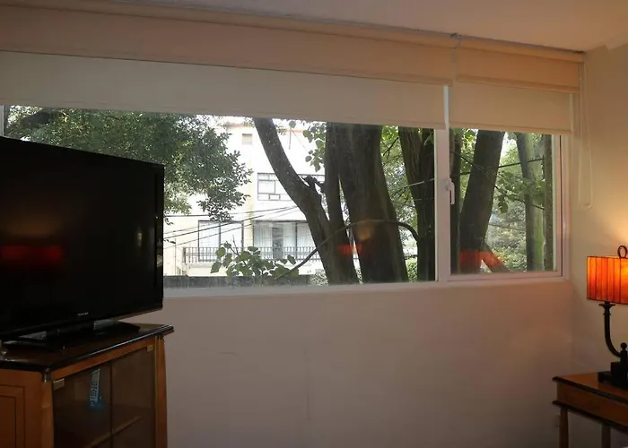 Polanco Lincoln Park Two Bedroom Apartment *