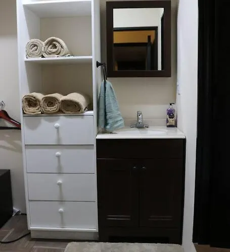 Polanco Lincoln Park Two Bedroom Apartment Mexico City